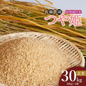 【ふるさと納税】【令和8年産先行予約】特別栽培米 つや姫 玄米 30kg（30kg×1袋） 山形県鶴岡市産 佐藤農園