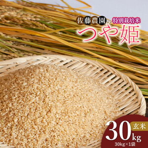 yӂ邳Ɣ[Łzyߘa7NYzR`߉sY ʍ͔| P  30kgi30kg×1܁j@_