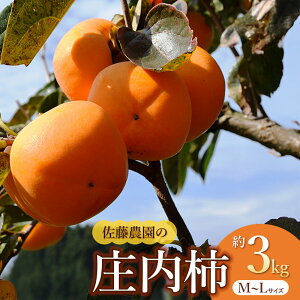 �y�ӂ邳�Ɣ[�Łz�y�ߘa8�N�Y��s�\��z�����` M�`L�T�C�Y�@��3kg�@�����_��