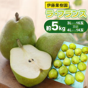 【ふるさと納税】【令和7年産先行予約】ラ・フランス 約5kg(3Lサイズ16玉 又は 4Lサイズ14玉) 伊藤果樹園 洋梨 果物 フルーツ