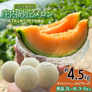 �y�ӂ邳�Ɣ[�Łz�y�ߘa8�N�Y��s�\��z �������u�������i�ԓ��j��4.5kg 2L�`4L �y�G�i�z 3�`5�ʓ� �y7����{�`���{�������\��z�R�`���߉��Y �g�ԃ����� �ۉʏ�����