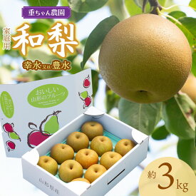 【ふるさと納税】【令和8年産先行予約】家庭用 和梨（幸水 または 豊水）約3kg　山形県鶴岡市産　重ちゃん農園