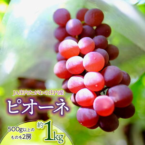 yӂ邳Ɣ[Łzyߘa8NYs\zJȀYԂǂ sI[l 1kg 嗱EȂ@K-830