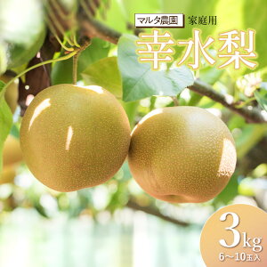 �y�ӂ邳�Ɣ[�Łz�y�ߘa8�N�Y��s�\��z �ƒ�p�@�K���� 3kg�i6�`10�ʁj�@�}���^�_��