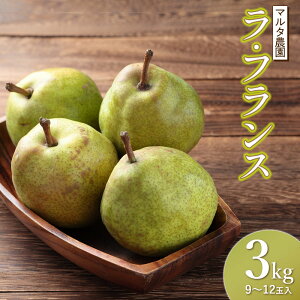 yӂ邳Ɣ[Łzߘa7NY EtXimj@3kgi9`12ʁj@}^_