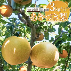 【ふるさと納税】【令和8年産先行予約】 家庭用　和梨 あきづき 3kg（6〜10玉）　マルタ農園