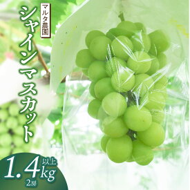 【ふるさと納税】【令和7年産先行予約】 シャインマスカット 1.4kg以上（2房）　マルタ農園