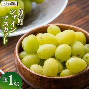 yӂ邳Ɣ[Łzyߘa8N313܂ŔzƒpVC}XJbg yz1kg@}^_