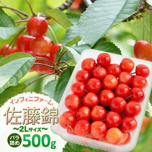 yӂ邳Ɣ[Łzyߘa8NYs\zCtBjt@[̂ځuсvo500gi2LTCYj@K-848