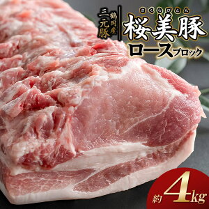 yӂ邳Ɣ[Łz߉YO؁u؁v[X ubN 4kg@K-7159@ؓ@싍X