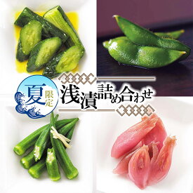 【ふるさと納税】【令和8年発送】夏限定！浅漬詰め合せ　K-723　株式会社本長