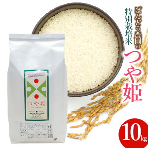 yӂ邳Ɣ[Łzyߘa7NY s\z΂ǂ_̓ʍ͔|ĂP 10kg@K-784