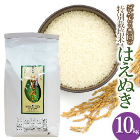 【ふるさと納税】【令和7年産 先行予約】ばんどう農園の特別栽培米 はえぬき 白米10kg　K-781