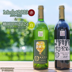 �y�ӂ邳�Ɣ[�ŁzMerlot(�������[)2023�i�ԁj�� �߉��b�B2024�i���j�e750ml �@�s�m�E�R�b���[�i�@������ЃG���T��