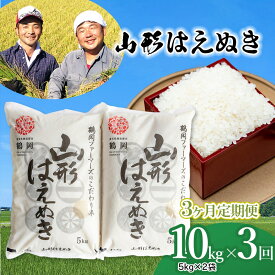 【ふるさと納税】【令和6年産 先行予約】山形はえぬき 定期便 精米10kg(5kg×2袋)×3ヶ月　山形県鶴岡市産 一等米 2024年