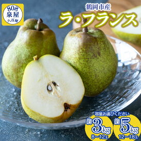 【ふるさと納税】【令和8年産先行予約】鶴岡市産 ラ・フランス 容量お選びください［約3kg・約5kg］　K-822・K-835　泉屋商店