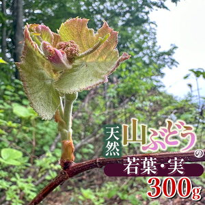 yӂ邳Ɣ[Łzyߘa8NYs\zVR RԂǂ̎tE 300g@R 킩Ή