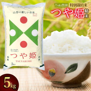 yӂ邳Ɣ[Łzߘa7NY@R`@ʍ͔| P@5kg×1܁@Toki_