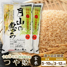 【ふるさと納税】令和8年産 新米 【定期便】特別栽培米 つや姫 玄米 選べる容量（5kg・10kg）・発送回数（3・6・12回） 毎月1回中旬発送 | 山形県 鶴岡市 お米 コメ おこめ つやひめ 5キロ 玄米 ブランド米 美味しい