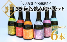 【ふるさと納税】 竹の露 白露垂珠 55和色飲み比べセット（300ml×6種）計6本 清酒 日本酒　[K8-751]