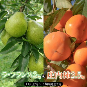 yӂ邳Ɣ[Łzyߘa7NYs\zR`Y@EtX`̃Zbg@tXimj2kg(8`12)@`2.5kg(18`20) ʕ H@K-747