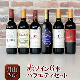 【ふるさと納税】月山ワイン 赤ワイン6本 バラエティセット各720ml E16-201　オリジナル赤 ソレイユ・ルバン ルージュ ヴィティスコワニティ メルロー 豊穣神話 ヤマソービニオン 辛口 | 山形県 鶴岡市 ワイン お酒 飲み比べ 飲みくらべ 詰め合わせ