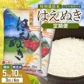 【ふるさと納税】令和8年産 新米 斎藤農場の特別栽培米 はえぬき【定期便】選べる 精米/無洗米・5/10kg・3/6回 山形県鶴岡市産 | K-837・K-875・K-837・K-875