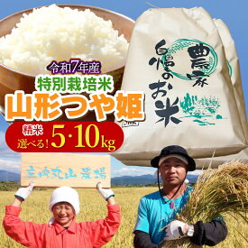 【ふるさと納税】令和7年産　特別栽培米 つや姫 白米 ［お選びください：5kg・10kg ］ 山形県鶴岡市産 庄内丸山農場 | つやひめ 白米 お米 ブランド米 おこめ お取り寄せ コメ こめ 庄内米 美味しい