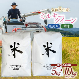 【ふるさと納税】令和8年産 小池半左衛門のお米 ミルキークイーン【選べる容量・精米種類】5kg・10kg　精米(白米)・無洗米　山形県庄内産 │ 米どころ 庄内米 ブランド米 米 コメ こめ ご飯 ごはん 美味しい お取り寄せ 農家直送 東北 国産 おすすめ 人気 返礼品 2026年産
