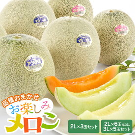【ふるさと納税】【令和9年産先行予約】 お楽しみメロン［2Lサイズ×3玉セット］［3L5玉 または 2L6玉 セット］アンデスメロン・鶴姫メロン・鶴姫レッドメロンの中からお届け 山形県 鶴岡市産 K-936/K-960 | 鶴岡市 返礼品 フルーツ 果物 くだもの 食べ比べ 庄内砂丘