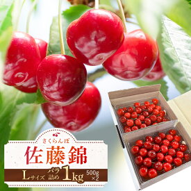 【ふるさと納税】【令和9年産先行予約】 さくらんぼ 佐藤錦（Lサイズ以上）バラ1kg（500g×2） K-966 山形県鶴岡産 利右衛門ファーム | チェリー 果物 くだもの フルーツ 1キロ 甘い 完熟 旬 産地直送 人気 美味しい 2027年産 お取り寄せ 山形県 鶴岡市 東北 返礼品
