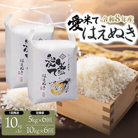 【ふるさと納税】令和8年産 新米 はえぬき 精米　お選びください 10kg(5kg×2袋)［1回発送］・5kg×6回・10kg×6回［定期便］ 6ヶ月定期便 愛米て
