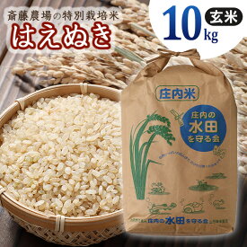 【ふるさと納税】【令和5年産】斎藤農場の特別栽培米 はえぬき玄米 10kg（10kg×1）A05-013