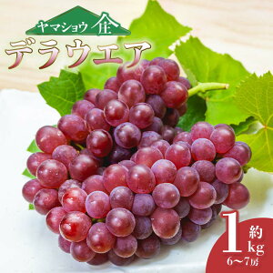 yӂ邳Ɣ[Łzyߘa8NYs\zfEFA 1kgi6`7[jR`߉sY Ԃǂ @}VE