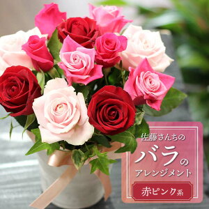 yӂ邳Ɣ[Łz񂿂̃õAWgyԃsNnz@KN12{@ԑ A75-901