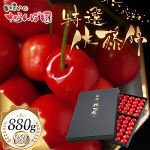 yӂ邳Ɣ[Łzyߘa8NYs\zypz ځuсv 88 ܂̂ډ K-8114