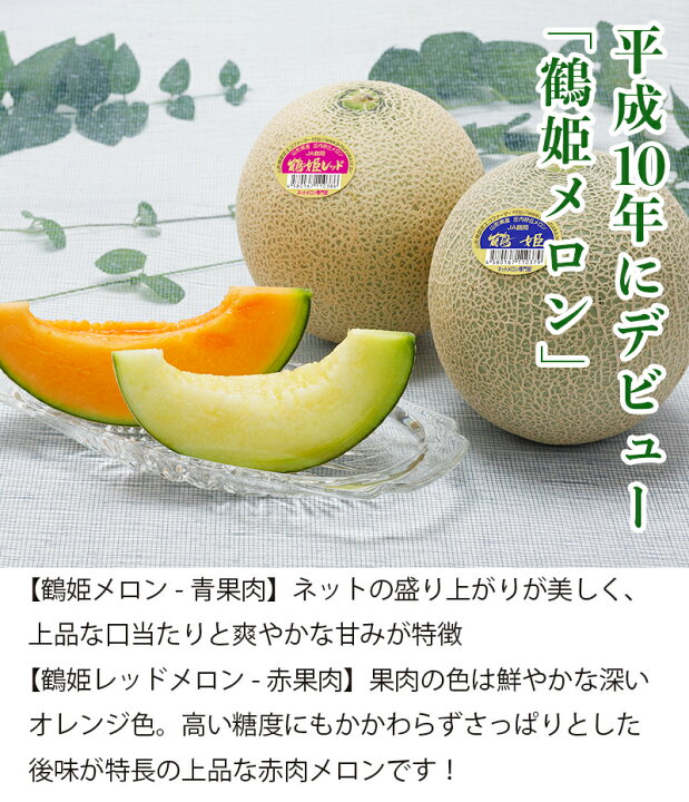 ふるさと納税 6 8月発送 ハウス栽培 緑肉 ２玉 特大ネットメロン 完熟 オルフェ 季節限定 赤肉