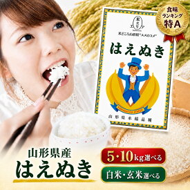 【ふるさと納税】令和7年産 山形県産 はえぬき 5kg 10kg 選べる 白米 玄米 米 お米 ブランド米 冷めてもおいしい おにぎり お弁当 ごはん 鶴岡市