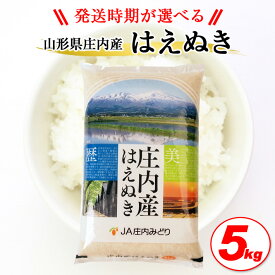 【ふるさと納税】はえぬき 5kg 令和7年産米 山形県庄内産 ご希望の時期頃にお届け 米 お米 精米 白米 農協 JA 発送時期が選べる