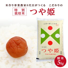 【ふるさと納税】特別栽培米 つや姫 5kg 精米 令和7年産米 山形県産 ご希望の時期頃にお届け 米 白米 庄内米 ブランド米 ごはん ご飯 農家直送 産地直送 東北 山形県 酒田市 庄内 発送時期が選べる