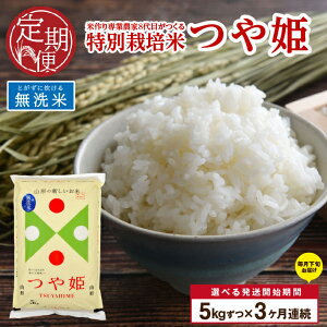 【ふるさと納税】≪3ヶ月定期便≫ 無洗米 特別栽培米 つや姫 5kg×3ヶ月 計15kg 令和7年産米 山形県産 ご希望期間の毎月下旬頃お届け 米 白米 庄内米 ブランド米 ごはん ご飯 農家直送 産地直送