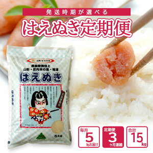 �y�ӂ邳�Ɣ[�Łz��3��������ց� �͂��ʂ� 5kg×3�����A�� �v15kg �R�`���Y ����]���Ԃ̖������{�����͂� �_�� JA �� ���� ���� ���� ���͂� ���k ��c�s ���� 3��