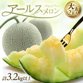 【ふるさと納税】JA直送！ アールスメロン 大玉2玉 3.2kg以上 つる付き 山形県酒田産 8月中旬〜10月中旬頃にお届け ※着日指定不可 マスクメロン 青肉メロン 砂丘メロン メロン 東北 山形県 酒田市 庄内地方 庄内砂丘 農協 産地直送 夏 秋 旬 フルーツ 果物