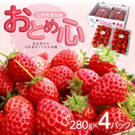 【ふるさと納税】いちご 「おとめ心」 約280g×4パック 山形県酒田産 4月下旬〜5月下旬頃お届け 冷蔵便 ※着日指定・離島発送不可 苺 おとめ心 東北 山形県 庄内 酒田市 春 旬 果物 フルーツ 農協 JA 産地直送