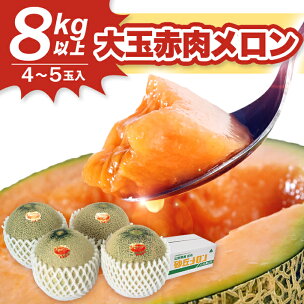 JA直送 大玉赤肉メロン 4〜5玉 8kg以上 つる無し ...