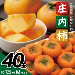 【ふるさと納税】庄内柿 平核無柿 Mサイズ 40玉 約7.5kg 10月中旬〜11月中旬頃お届け ※着日指定不可 東北 山形県 酒田市 庄内地方 柿 かき カキ 種無し柿 種なし柿 ご家庭用 農協 JA 産地直送 果
