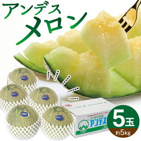 【ふるさと納税】JA直送 アンデスメロン 5玉 約5kg つる無し 山形県酒田市産 6月下旬〜7月下旬頃お届け ※着日指定不可 アンデス メロン 青肉メロン 青肉 農協 夏 フルーツ 山形県 庄内 酒田市 旬