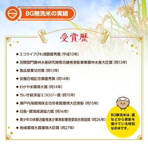 【ふるさと納税】無洗米はえぬき5kg×2袋計10kg令和元年産米山形県産※着日指定不可