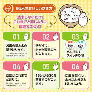 【ふるさと納税】無洗米はえぬき5kg×2袋計10kg令和元年産米山形県産※着日指定不可