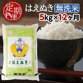 【ふるさと納税】≪12ヶ月定期便≫ 無洗米 はえぬき 5kg×12ヶ月連続 合計60kg 山形県産 毎月下旬にお届け 酒田市 お米 精米 白米 ブランド米 連続定期便 簡単 手軽 東北食糧 BG無洗米 HACCP
